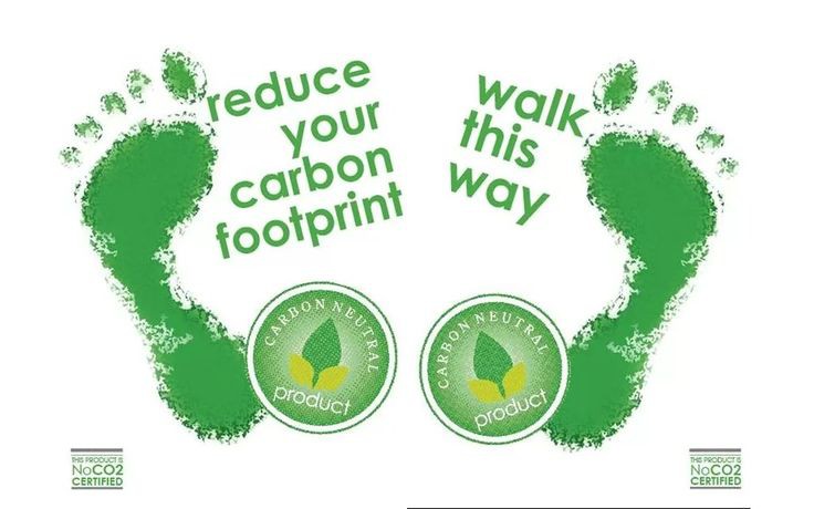 How to Reduce Your Carbon Footprint: Simple Steps for a Greener Life